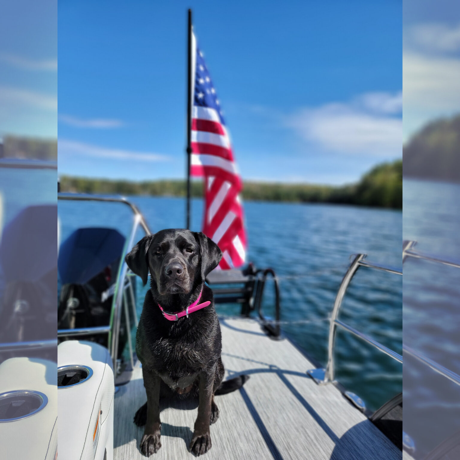 American flag lillipad marine