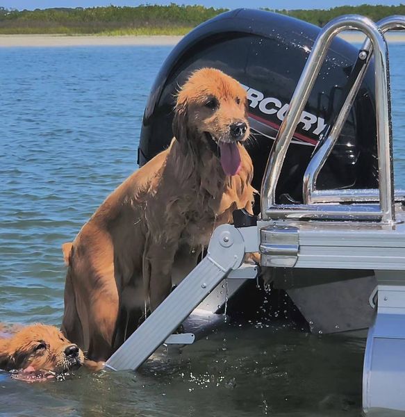 Top Gifts for Boat Lovers: LilliPad Diving Board & More