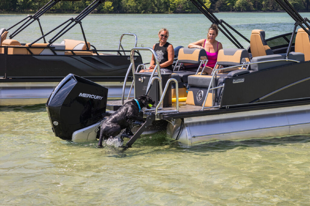 Black dog boarding a pontoon with a LilliPad Marine Easy Step Boarding Ladder