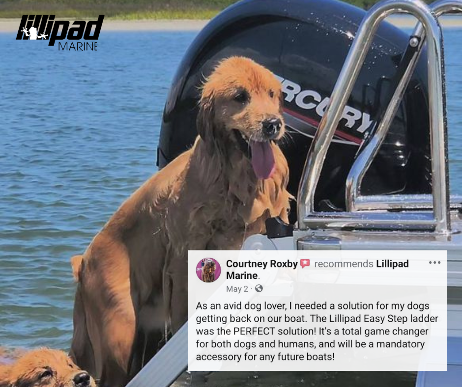 Customer review from Courtney Roxby about LilliPad Marine Easy Step Boarding Ladder being a complete game changer when boating with her dogs on her pontoon