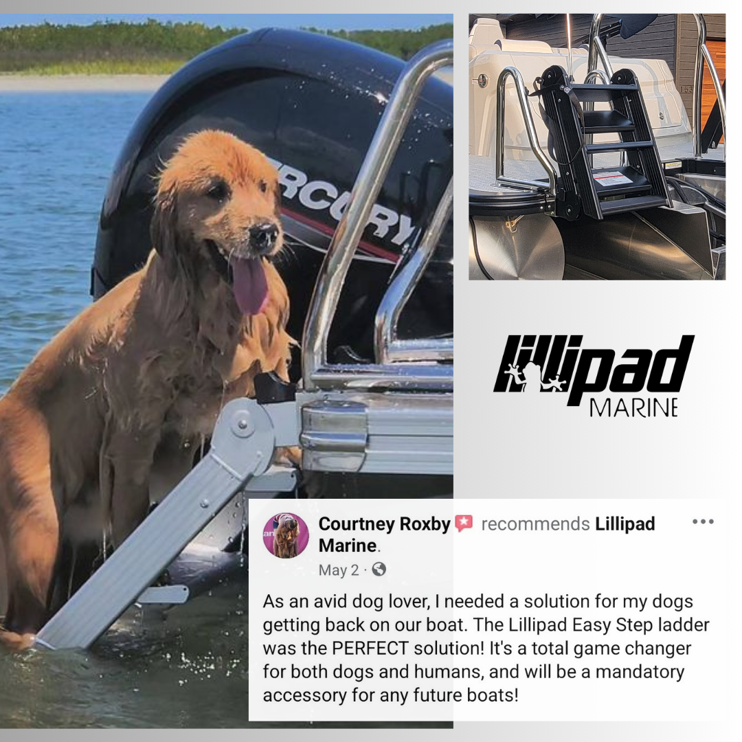 Customer photo and review of the LilliPad Marine Easy Step Boarding Ladder showing a dog climbing the ladder installed on a pontoon boat, with a testimonial about improved reboarding for dogs.